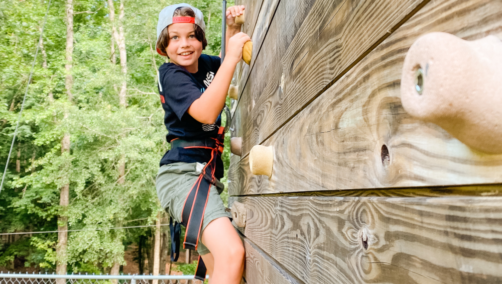 Aerial Adventures at Butter and Egg Adventures