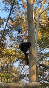 High Team Challenge Course at Butter and Egg Adventures