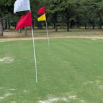 Short Game Golf Practice Alabama